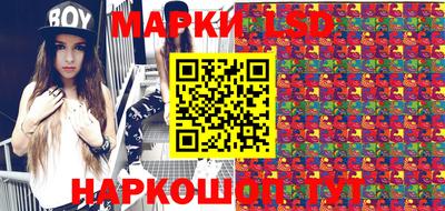 гидропоника Гатчина