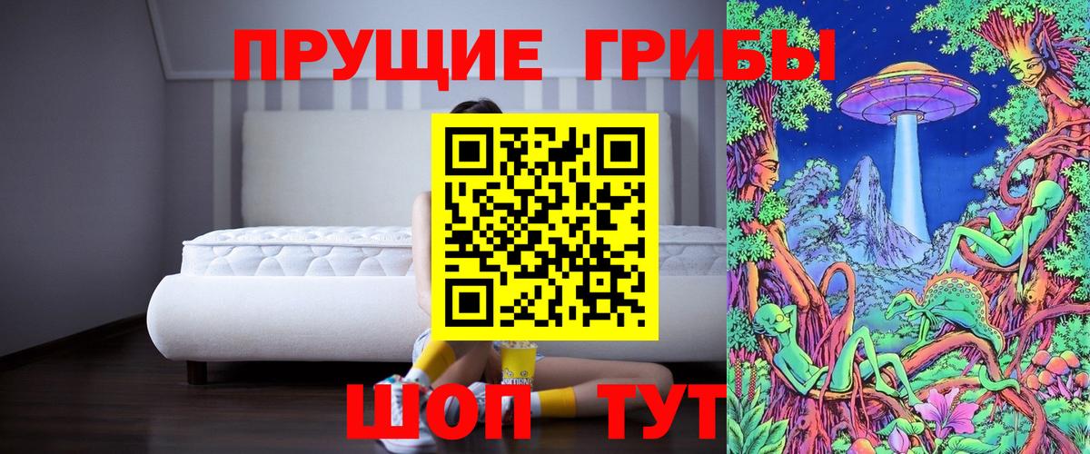 Бирск  Галлюциногенные грибы GOLDEN TEACHER  Вход с VPN  Галлюциногенные грибы Magic Shrooms 