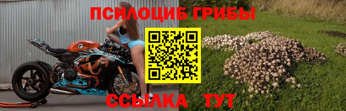 Галлюциногенные грибы GOLDEN TEACHER Бирск